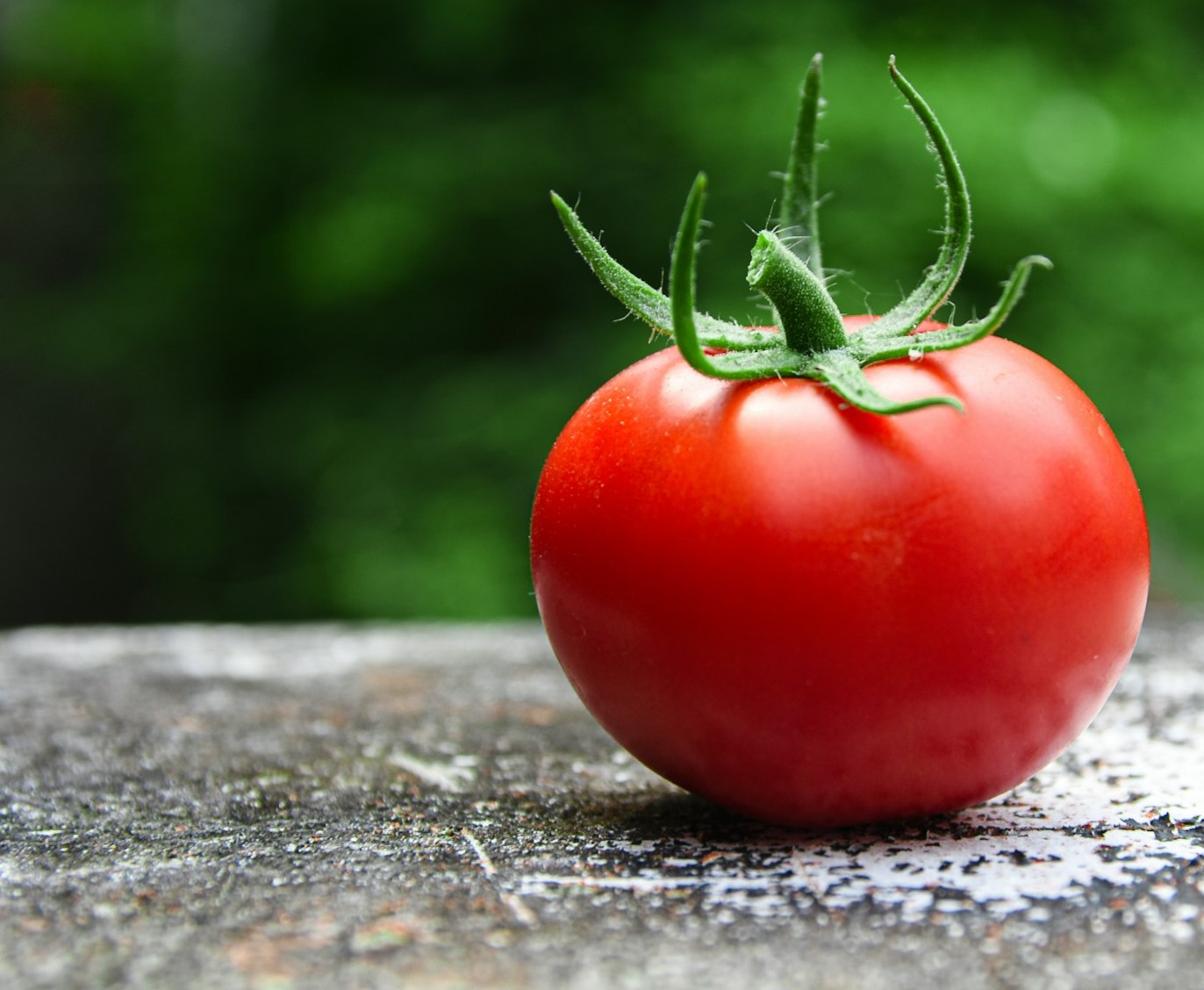 Unos cuantos tomates Cherry