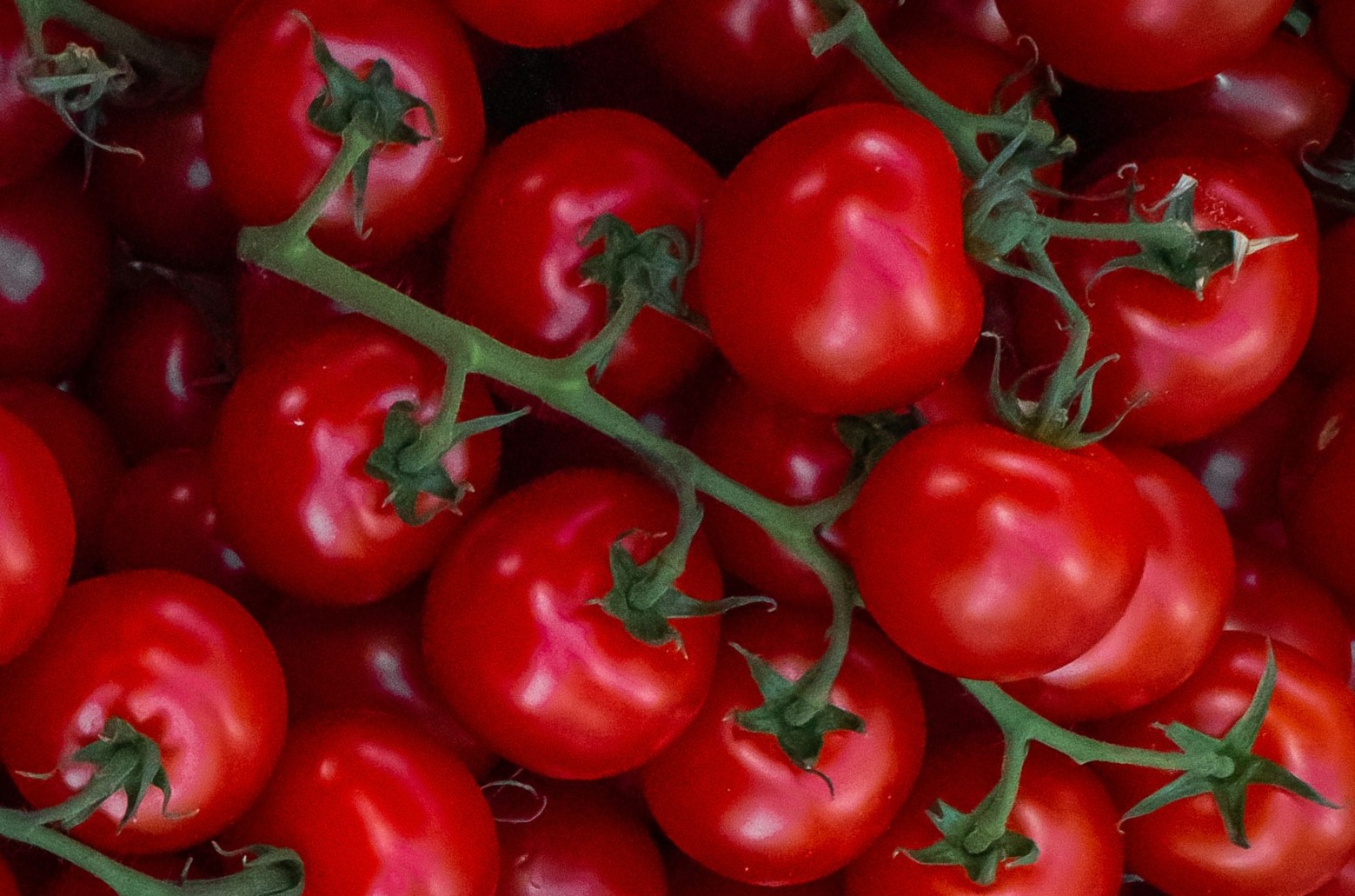 Manojo de tomates cherry