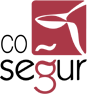 Logo de la empresa cosegur