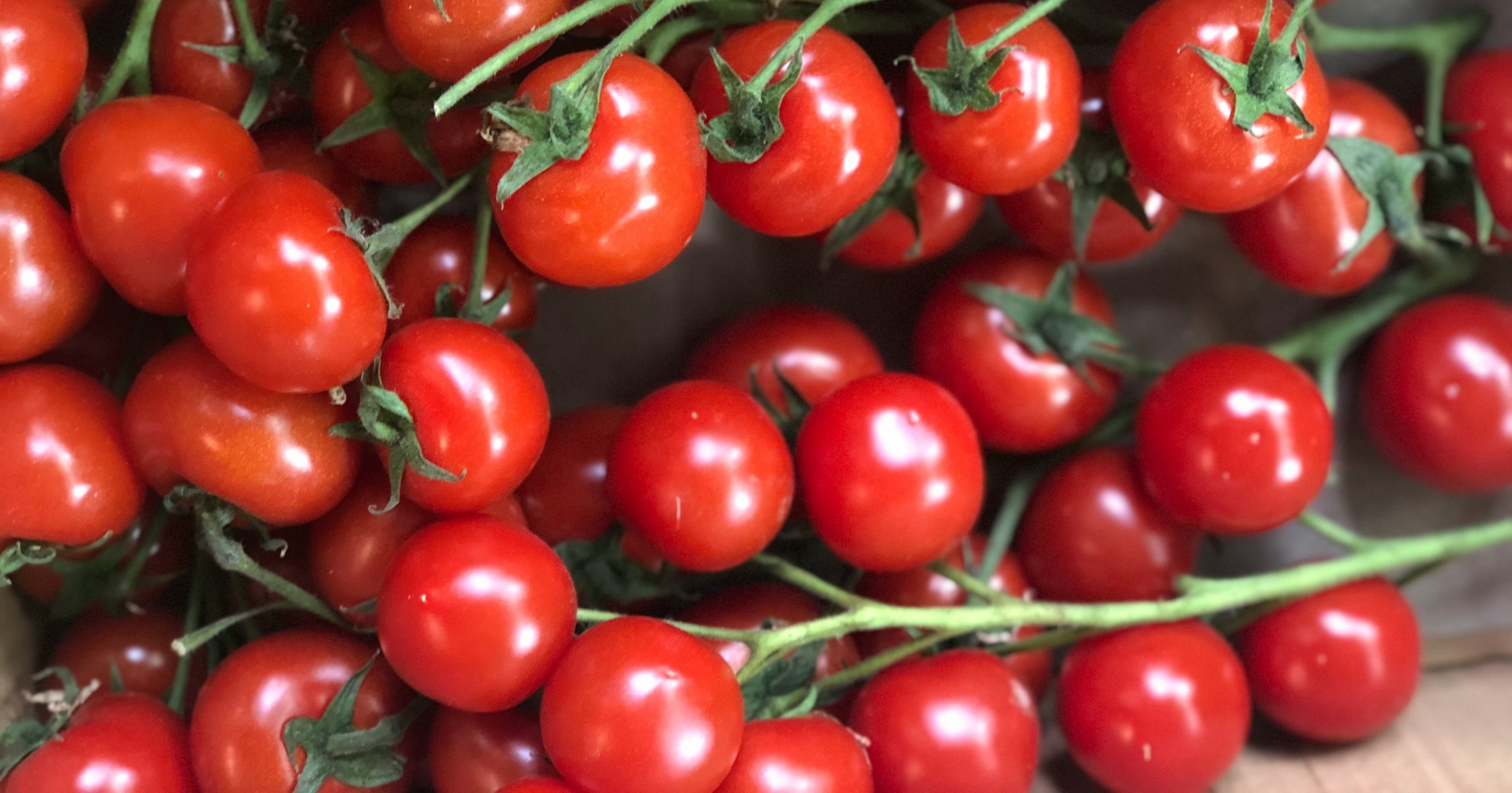 Tomates Cherry en una rama